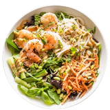 Spring Shrimp
