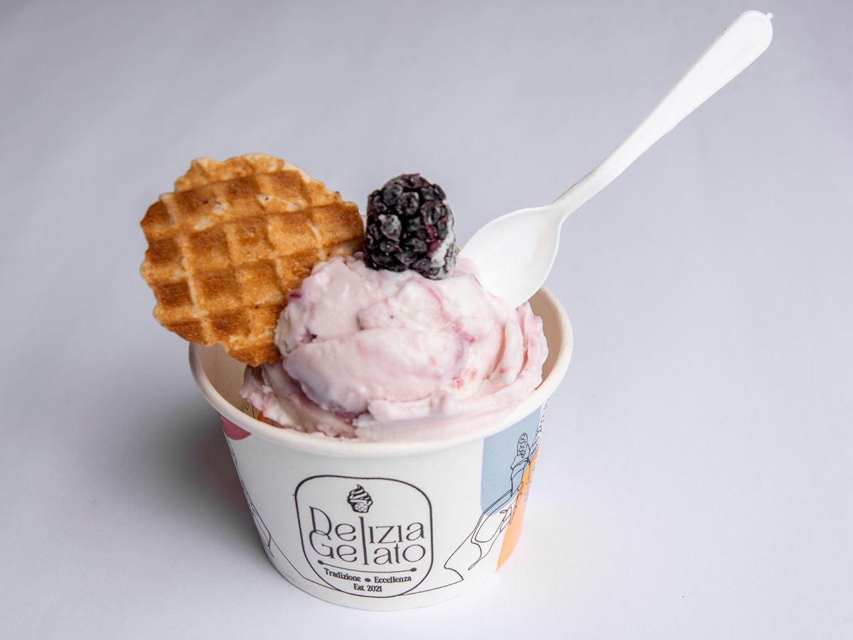 Yoghurt N Beery Gelato