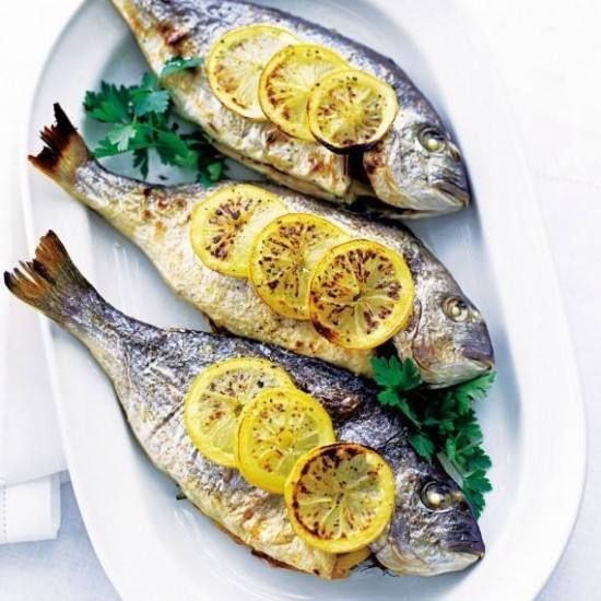 Gilthead Bream Fish