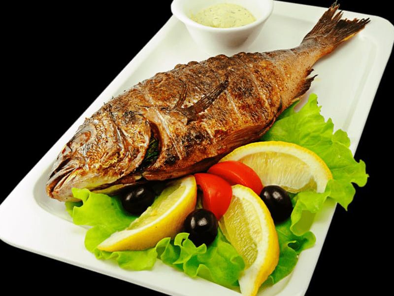 Gilthead Bream Fish