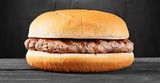 Plain Burger Sandwich