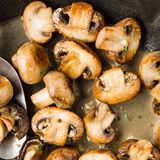 Mushroom