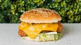 Cheese Fried Burger
