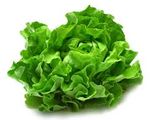 اضافة خس