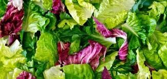 American Lettuce Salad