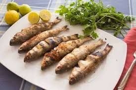 Keeled Mullet Fish