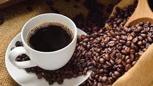 Plain Specialty Coffee