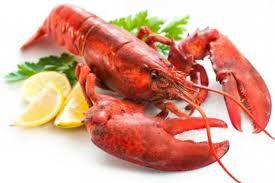 Lobster - Kilo