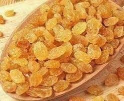 Gold Raisin