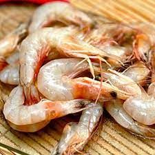 Medium Shrimp