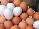 Eggs Sandwich