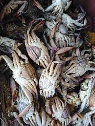 Female Crab
