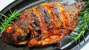 Tilapia Fish