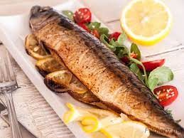 Mackerel Fish