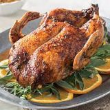Duck 1