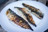 Mackerel Fish