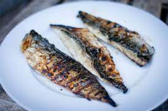 Mackerel Fish