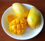 mango Beach