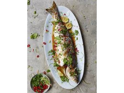 Sea Bass Fish