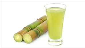Plain Sugarcane