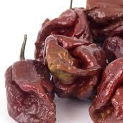 Chocolate Bhutlah Pepper