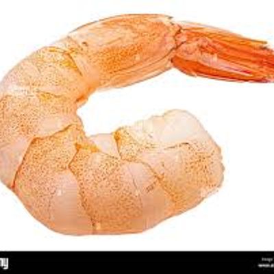 Piece of Shrimp