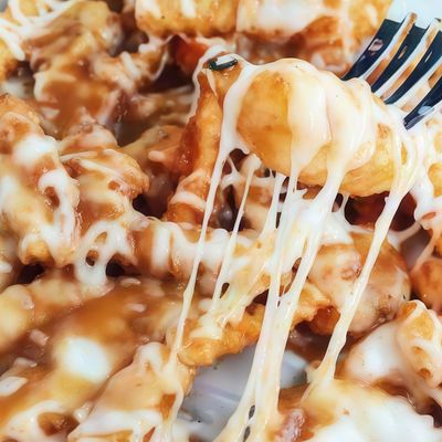Mozzarella Fries