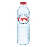 Small Water Bottle