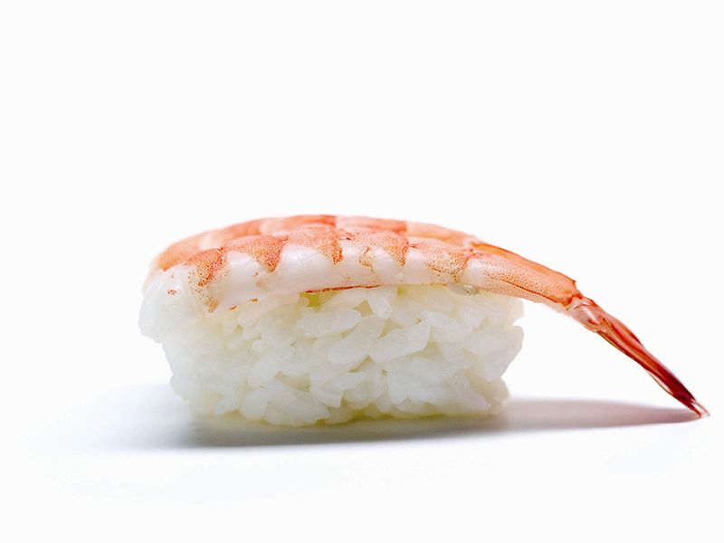 Shrimp Nigiri