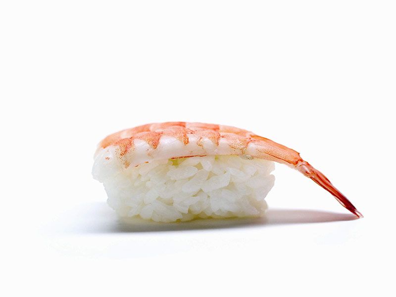 Shrimp Nigiri