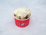 Vanilla And Oreo Ice Cream Scoop