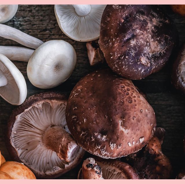 Mushroom