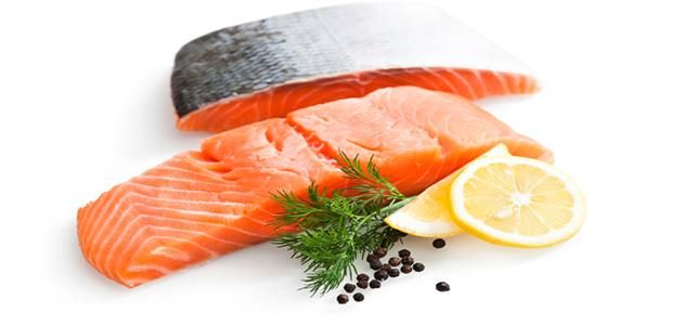 Salmon Fish