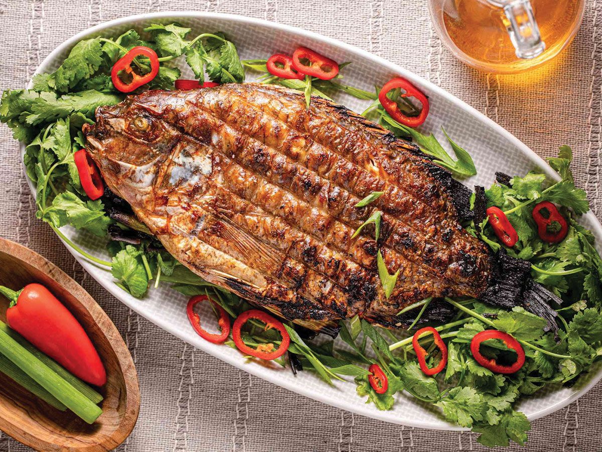fish saet Safa