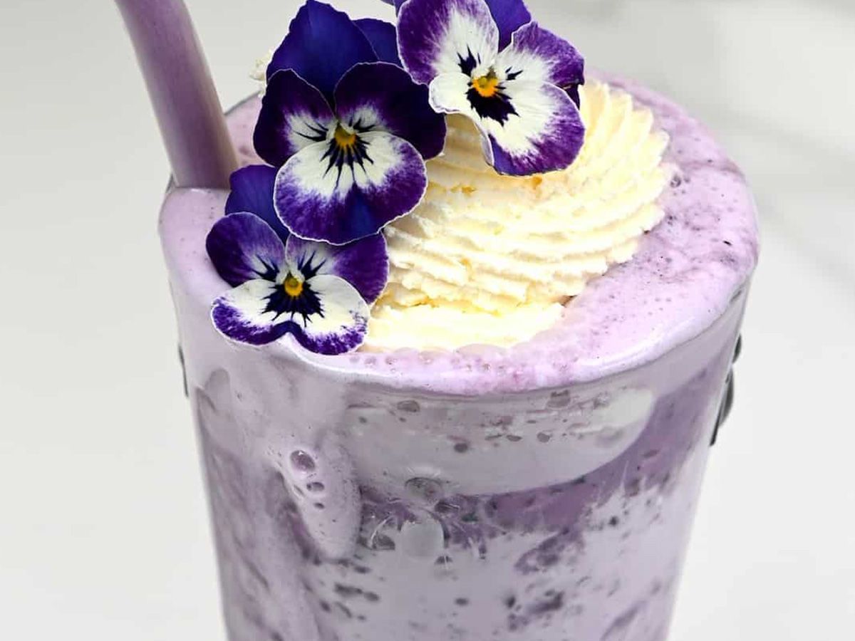 frappe blueberry