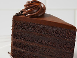 Fudge Cake Piece