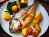Gilthead Bream