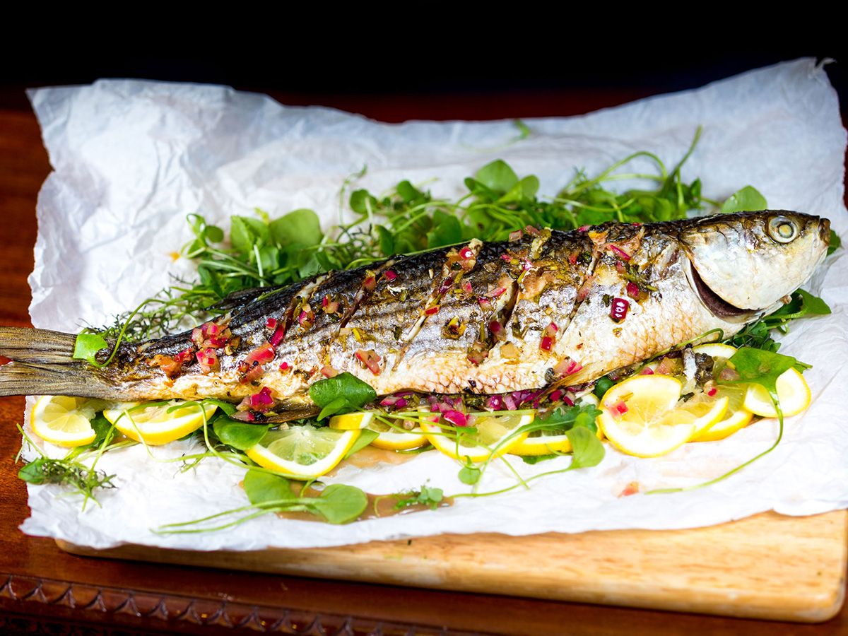 Grey Mullet