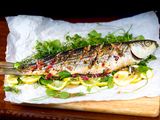 Grey Mullet