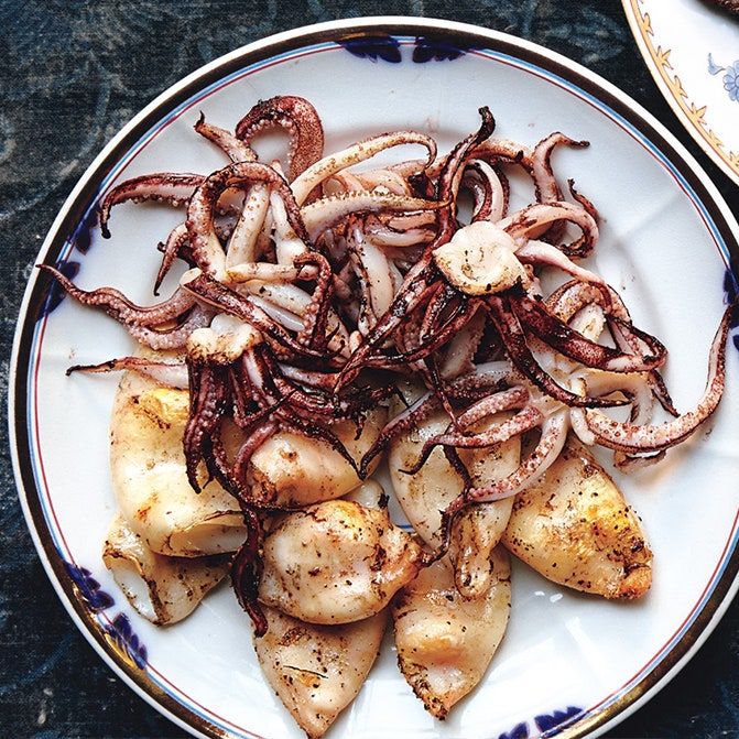 Squid Meal