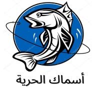1/2 Kilo Large Shrimp