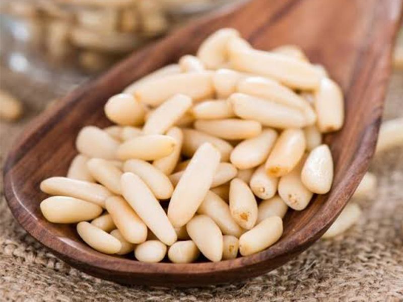 Lebanese Pine Seeds