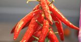 extra spicy pepper