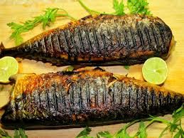 Mackerel Fish Meal