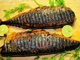 Mackerel Fish Meal