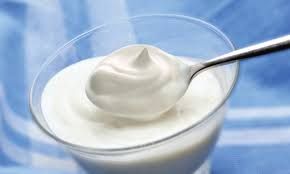 Plain Yogurt