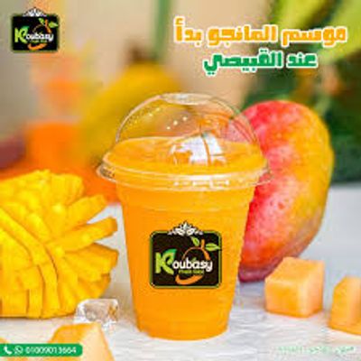 el koubasy photo 6