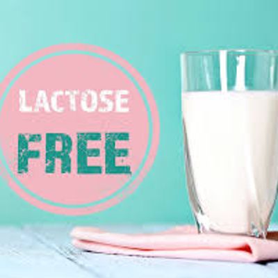 Lactose Free