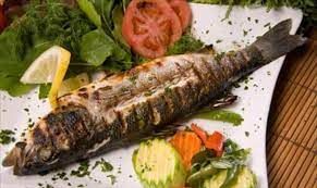 Large Grey Mullet Fish