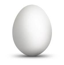 Egg